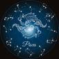 Preview: Zodiac sign Pisces, Glow in the dark - night glow, round stones, 60x60cm, 45 colours, full picture