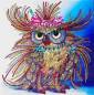 Preview: Diamond Painting Picture, Owl, Rhinestone Diamonds, Approx. 24x24cm, Partial Picture, Well Suited For Beginners.