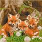 Preview: Diamond Painting Bild auf Keilrahmen gespannt, Fox Cubs (Füchse), runde Diamanten, ca. 30x30cm, Vollbild