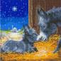 Preview: Diamond Painting picture spread on canvas, Little Donkey, round diamonds, approx. 30x30cm, full picture