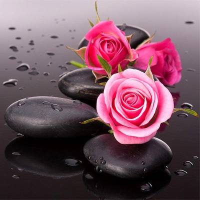 Vorlage(ohne Steine) rosa Rosen mit Stein, 50x50cm, 35 Farben, für eckige Steine, Vollbild