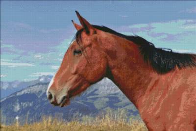 Diamond Painting picture, wild horse, square stones, 60x90cm, 48 colors, full image