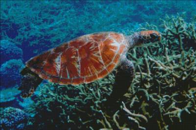 Diamond Painting picture, sea turtle, round stones, 60x90cm, 45 colours, full picture