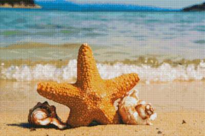 Diamond Painting picture, starfish, square stones, 50x75cm, 52 colours, 3 AB, full picture