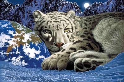 Preview: Schim Schimmel, The Warmth of Home, ca. 101x67cm, 110 Farben, runde Steine, Vollbild Preview: Schim Schimmel, The Warmth of Home, ca. 101x67cm, 110 Farben, runde Steine, Vollbild