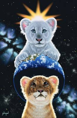 Preview: Schim Schimmel, The very Few, runde Steine, ca. 60x90cm, 50 Farben, Vollbild Preview: Schim Schimmel, The very Few, runde Steine, ca. 60x90cm, 50 Farben, Vollbild