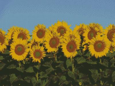 Diamond Painting Bild, Sonnenblumen, runde Steinchen, ca. 60x90cm, 55 Farben, Vollbild