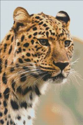Diamond Painting picture, Silent hunter, round little stones, 60x90cm, 48 colours, full picture