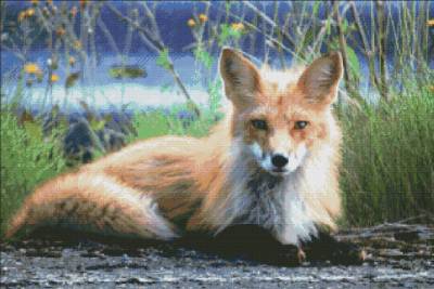 Diamond Painting Picture, Waxy Fox, Round Stones, 60x90cm, 50 Colours, Full Image