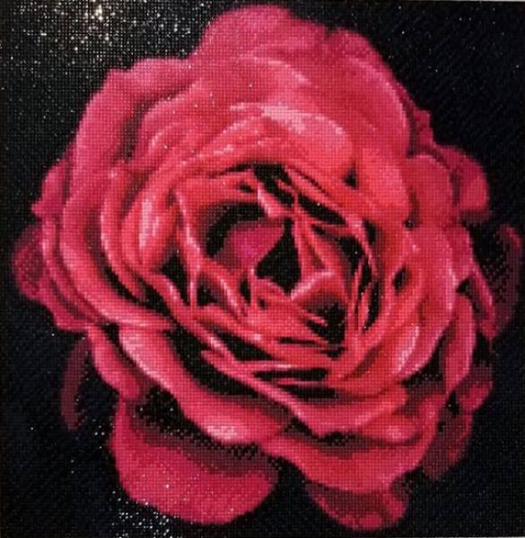 Diamond Painting picture, rose blossom, square stones, approx. 40x40cm, 25 colours, full picture