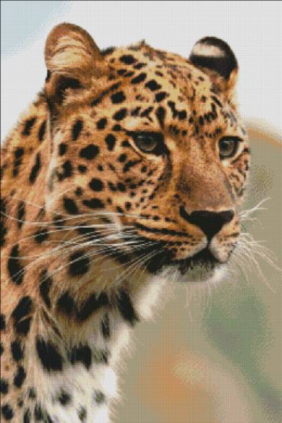 Diamond Painting picture, Silent Hunter, square stones, 60x90cm, 48 colours, full picture