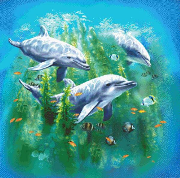 Tami Alba, Dolphin Kelp Bed, Round Stones, Approx. 80x80cm, 90 Colours, Full Image