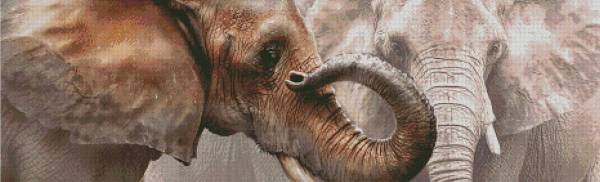 Tami Alba, Elephant Love, Square Stones, Approx. 40x120cm, 50 Colours, Full Image