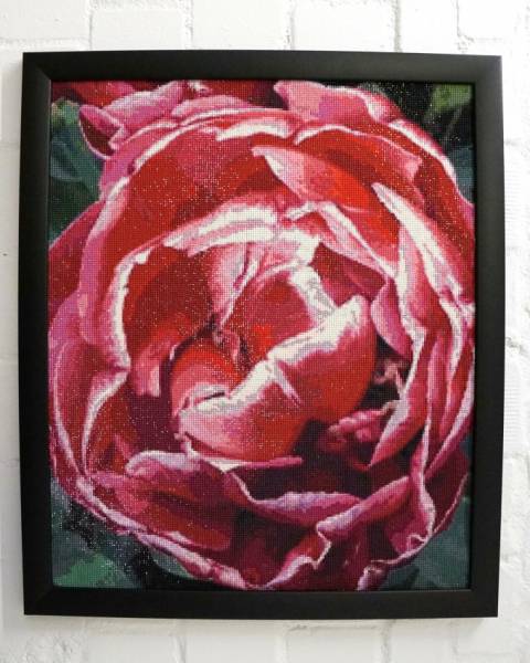 Diamond Painting picture, tulip, filled, round stones, 67x55cm, 85 colors