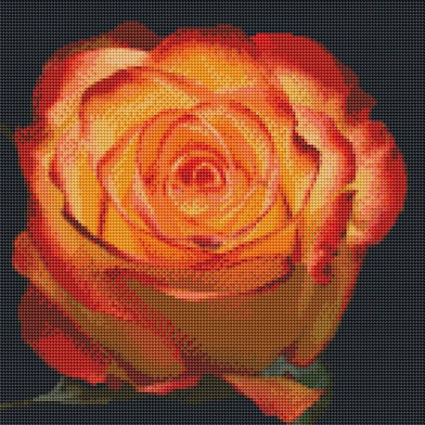 Diamond Painting picture, rose, orange-red, round stones, approx. 40x40cm, 50 colours, full picture