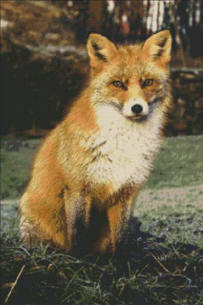 Diamond Painting picture, red fox, round stones, 60x90cm, 50 colours, full picture