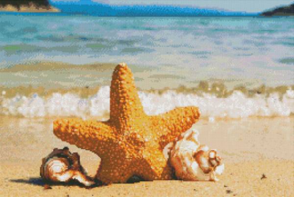 Diamond Painting picture, starfish, round stones, 50x75cm, 52 colours, 3 AB, full picture