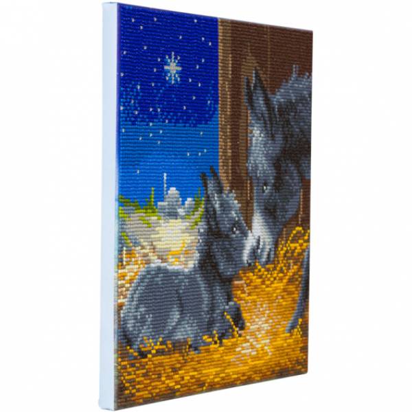 Diamond Painting picture spread on canvas, Little Donkey, round diamonds, approx. 30x30cm, full picture