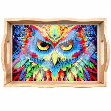 Tray for painting, Owl, approx. 18.3x30cm, painting set complete with round Rhinestone & special stones
